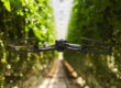 Polybee Drone