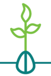 Build icon