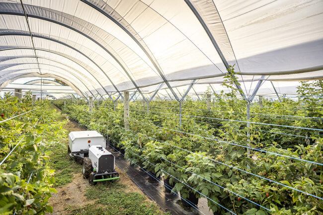 Agovor eTractor with mowing trailerLR