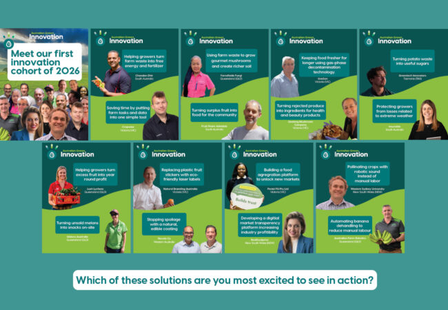 Innovation cohort 2026