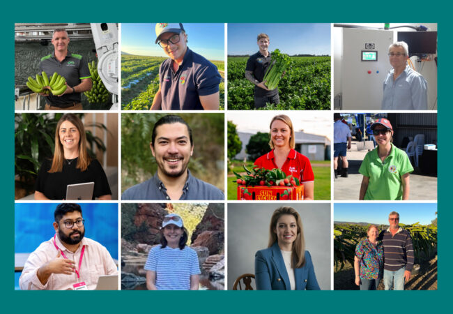 Hort Media Release Build cohort.png